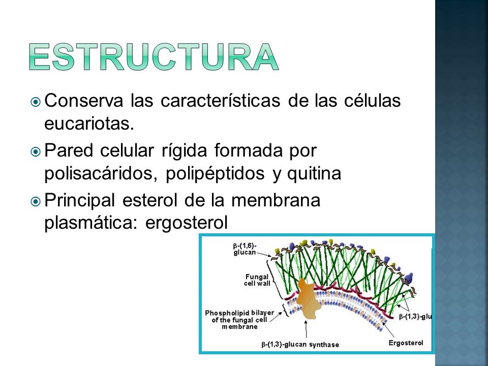 Ha contundido la uña en la mano el tratamiento